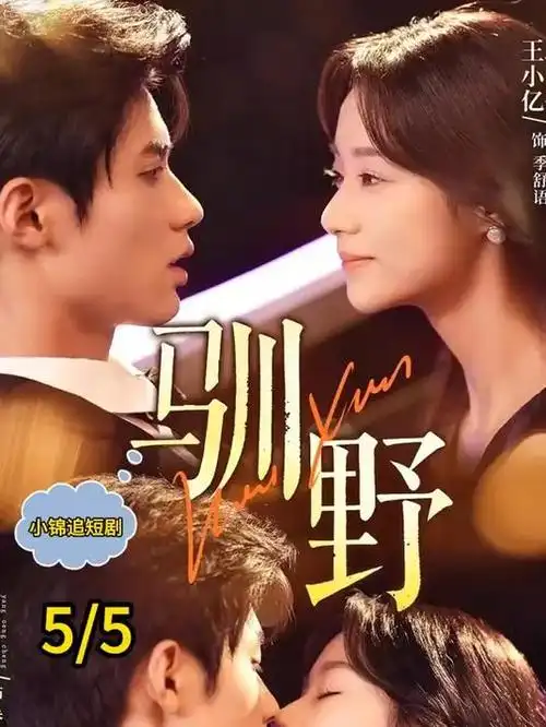 潮汐图书馆 热播电视剧全集在线观看